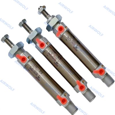 CAMOZZI ISO6432 Stainless Steel Pneumatic Cylinder 0.15-1.0MPa 24 25 Series