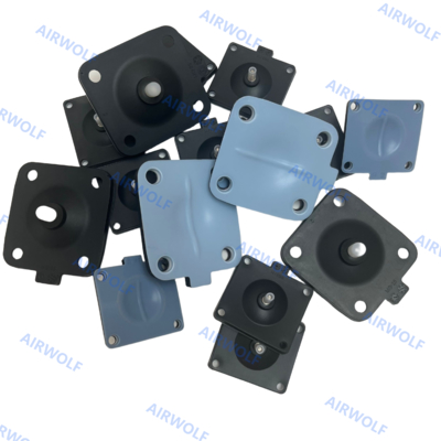 SGS / FDA کلاس PTFE + EPDM دیافراگم MG8 MG10 MG25 MG40 MG50 MG80 MG100 -20-150 °C کیت برای Gemu 601 602 605 611 612 615 618 625 643 648 650 651 653 654 658 660 671 673 687 695 698 سری دیافراگم والف